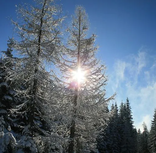 Hotel Vitalhotel Heilbrunn