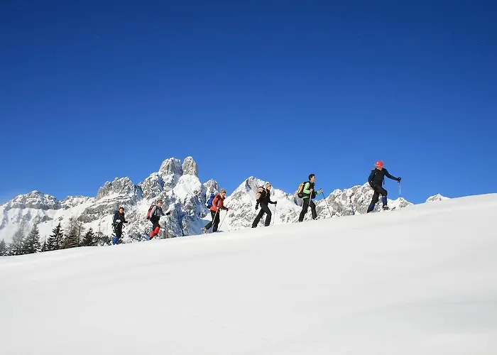 Hotel Vitalhotel Heilbrunn 4*