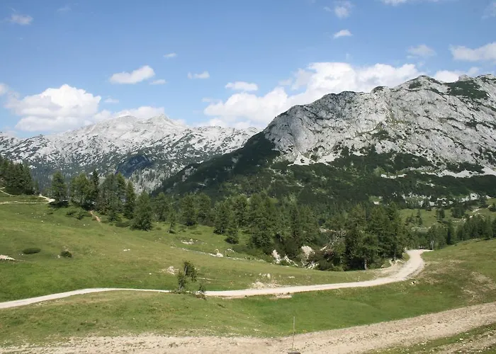 Hotel Vitalhotel Heilbrunn 4*